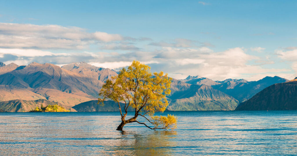 Lake Wanaka