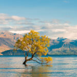 Lake Wanaka