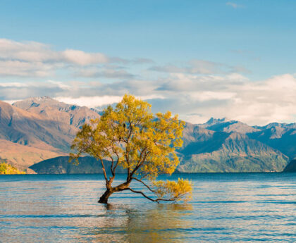 Lake Wanaka