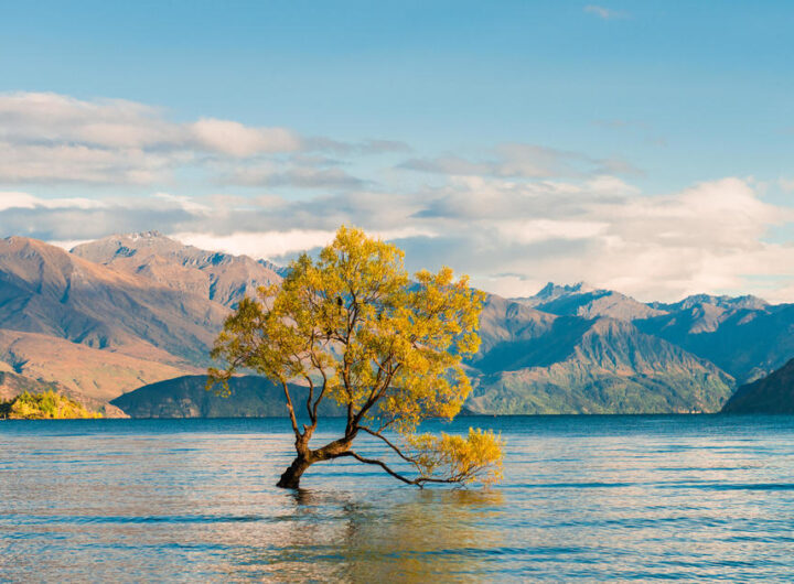 Lake Wanaka